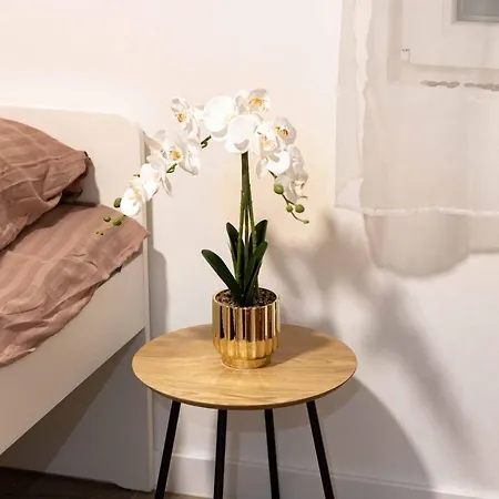 House Ladan Ground Floor Appartamento Žrnovnica